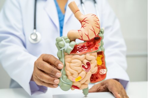 Post-festività: come rigenerare digestione, energia e equilibrio vitaminico