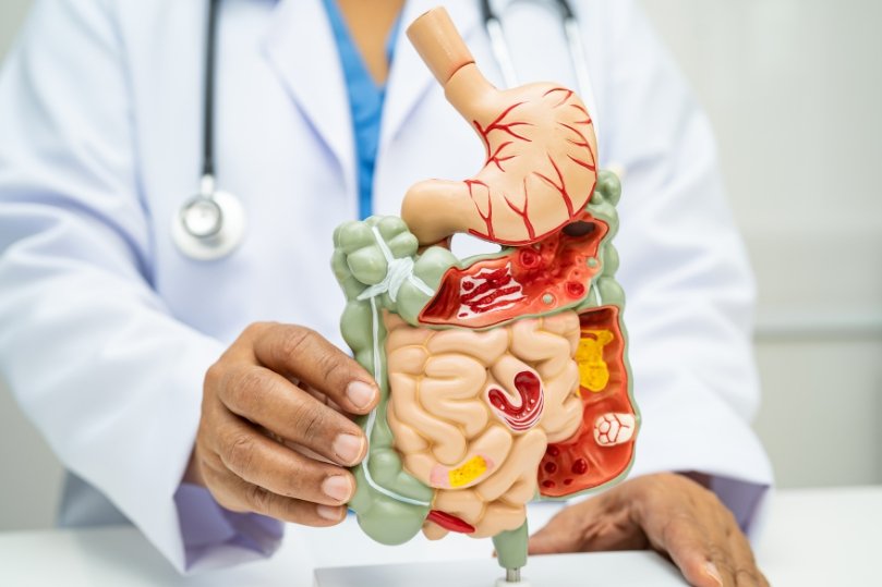 Post-festività: come rigenerare digestione, energia e equilibrio vitaminico