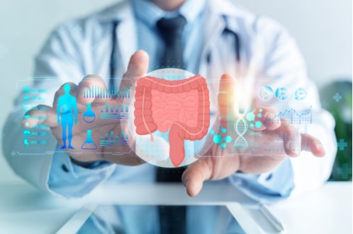 Non è lo stress: il tuo intestino cambia personalità in estate (e nessuno te lo dice)