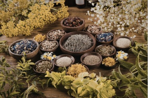Ingredienti botanici: perché il corpo li riconosce e li assorbe meglio