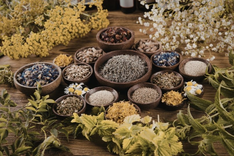 Ingredienti botanici: perché il corpo li riconosce e li assorbe meglio
