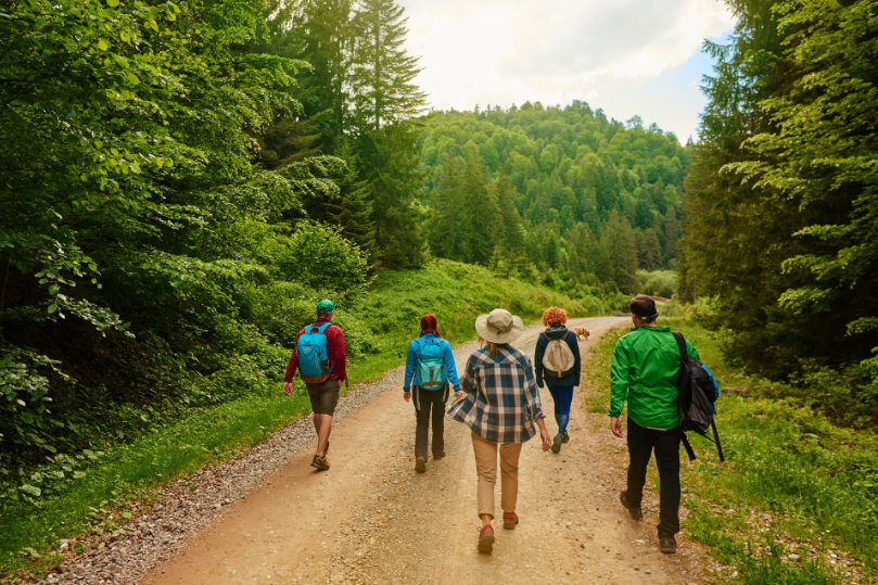 I benefici del camminare all’aria aperta