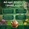 DEPURATIVO CISBANI PHARMA 30 COMPRESSE - Integratore per depurare e per la funzione epatica - SCADENZA 30.11.26
