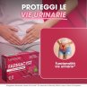 Farmacyst CISBANI PHARMA - Integratore Vie Urinarie D-Mannosio, Mirtillo rosso e Semi di Pompelmo - 45 compresse