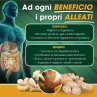 Pancreasi Pro CISBANI PHARMA - integratore Enzimi digestivi, Amilasi, Lipasi e Zenzero per la funzione digestiva - 40 Capsule Vegetali 