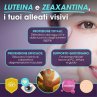 Zeaxalutein 30 compresse - integratore Luteina, Zeaxantina e Mirtillo nero per il benessere degli occhi Zeaxalutein 30 compresse - integratore Luteina, Zeaxantina e Mirtillo nero per il benessere degli occhi